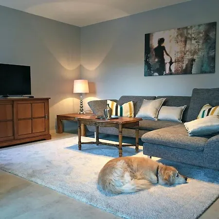 Holiday home Moselschoen 2 Comfortable